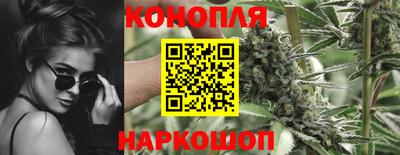 дживик Будённовск