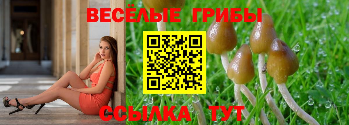 Галлюциногенные грибы мицелий  Галлюциногенные грибы MAGIC MUSHROOMS  Вход с VPN  Сафоново 